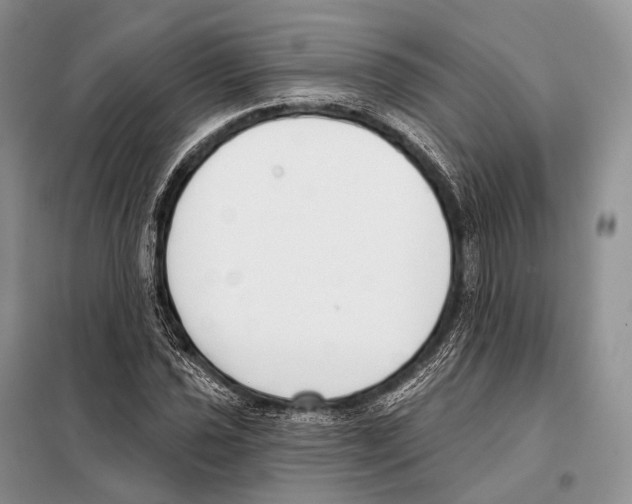 X0000098111021200805021128