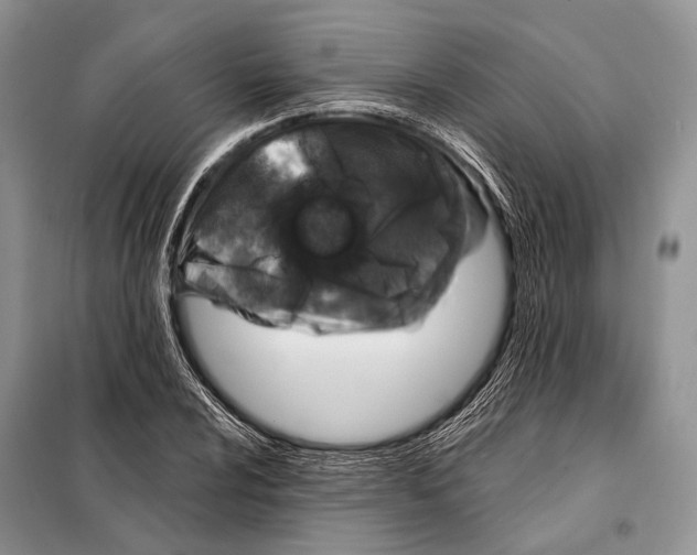 X0000098111024200805021128