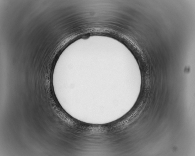 X0000098111025200805021128