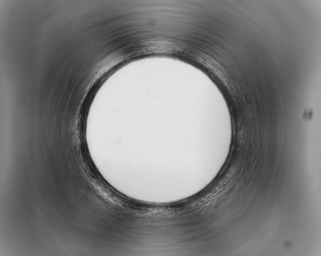 X0000098111026200805021128