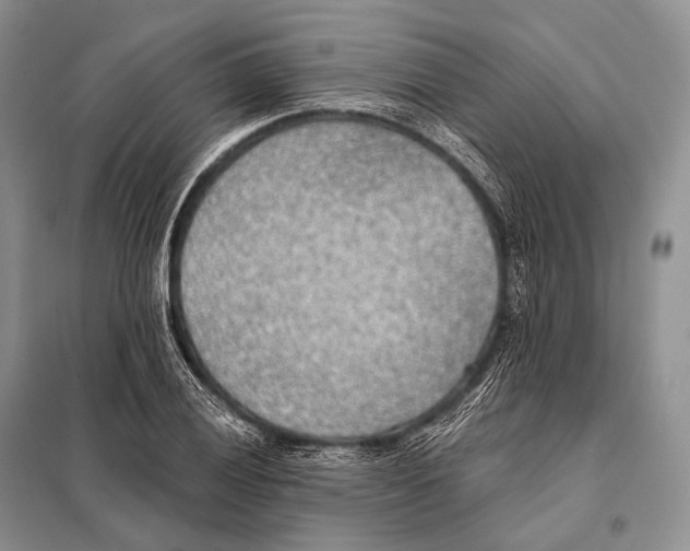 X0000098111028200805021128