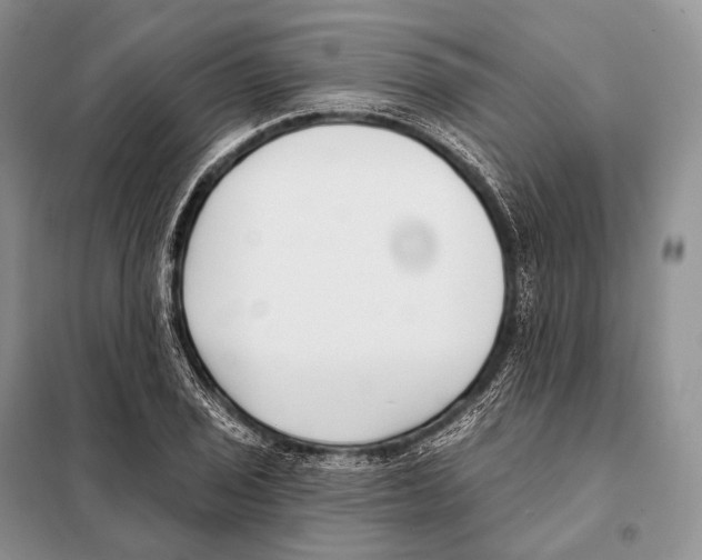 X0000098111029200805021128