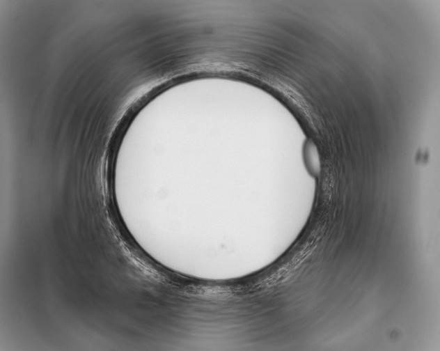 X0000098111030200805021128