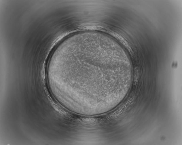 X0000098111031200805021128