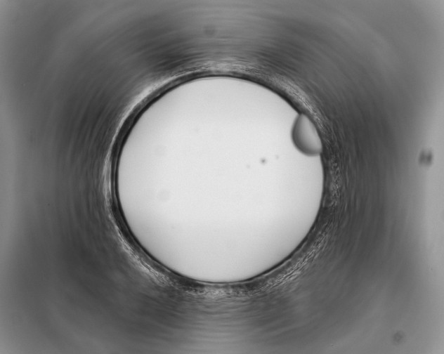 X0000098111032200805021128