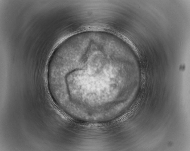 X0000098111035200805021128