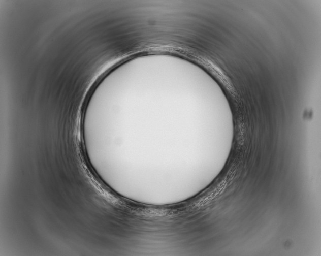 X0000098111036200805021128