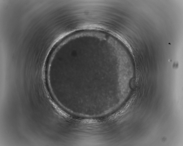 X0000098111037200805021128