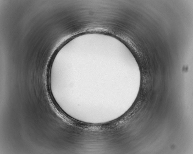 X0000098111038200805021128