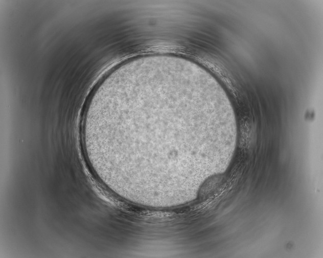 X0000098111039200805021128