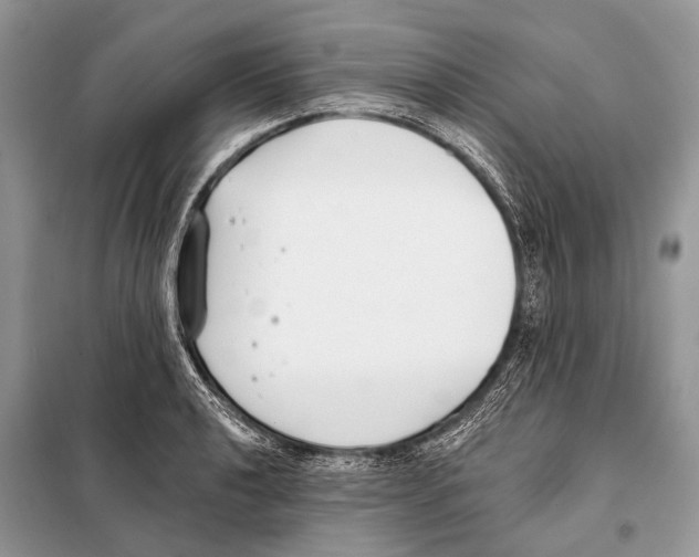 X0000098111040200805021128