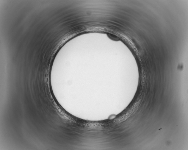 X0000098111041200805021128