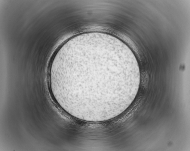 X0000098111043200805021128