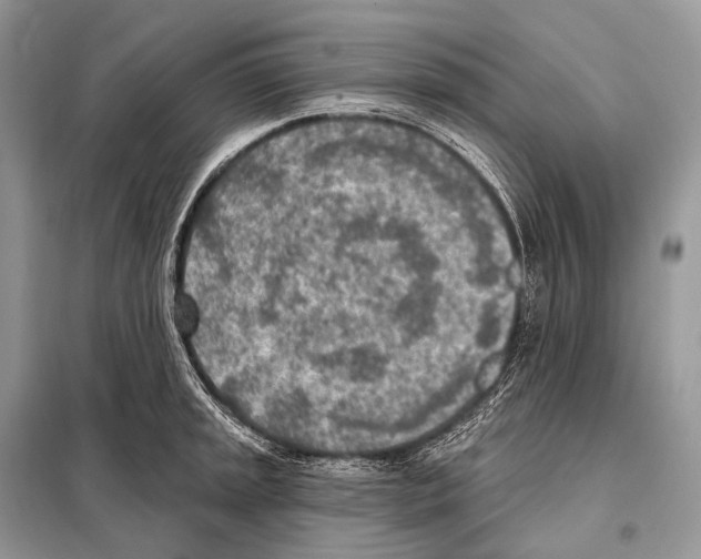 X0000098111045200805021128