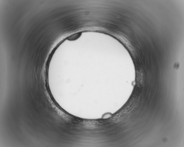 X0000098111046200805021128