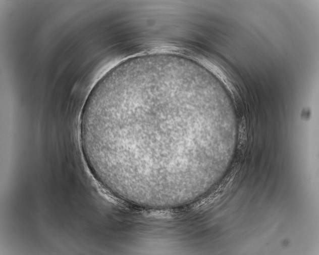 X0000098111047200805021128