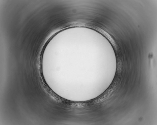 X0000098111051200805021128