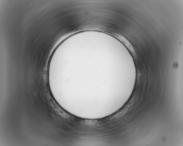 X0000098111052200805021128