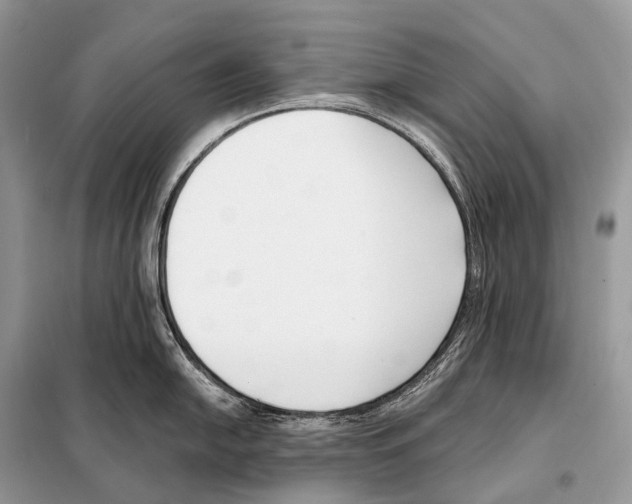 X0000098111054200805021128