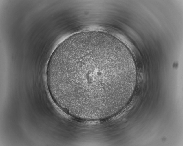 X0000098111055200805021128