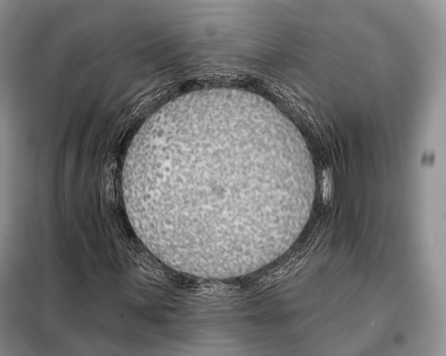 X0000098111059200805021128