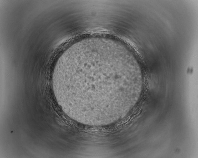 X0000098111063200805021128