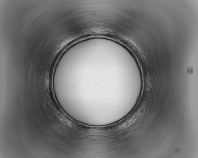 X0000098111065200805021128