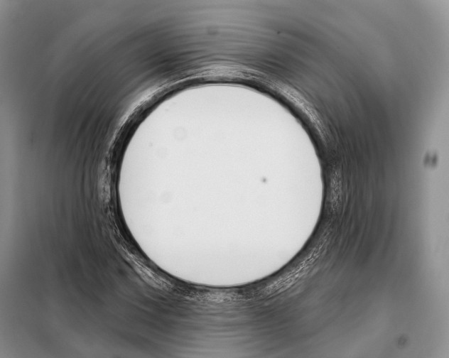 X0000098111067200805021127