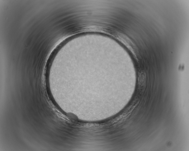 X0000098111068200805021127