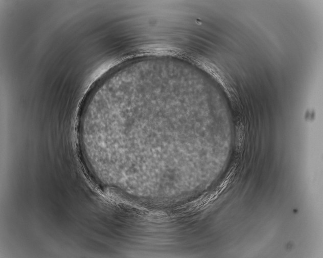 X0000098111071200805021127