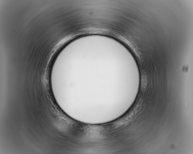 X0000098111074200805021127