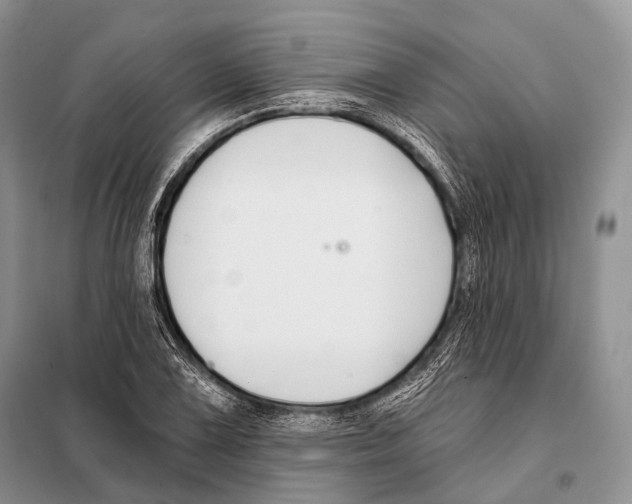 X0000098111075200805021127