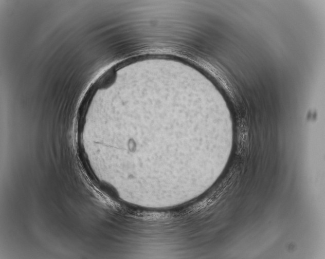 X0000098111076200805021127