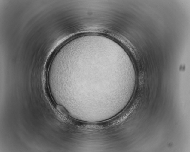 X0000098111077200805021127