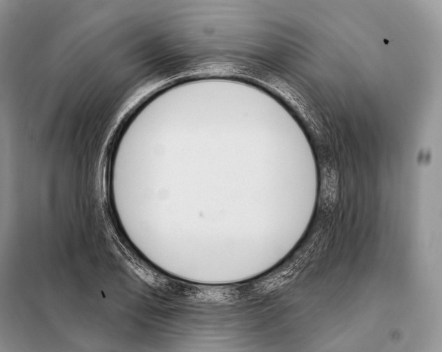 X0000098111078200805021127