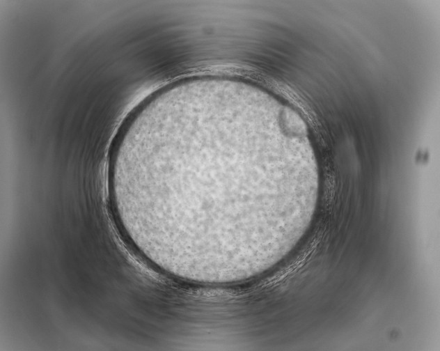 X0000098111079200805021127