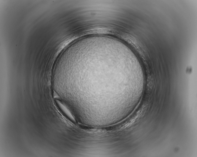 X0000098111081200805021127