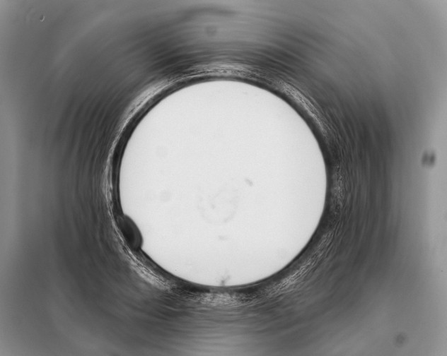 X0000098111082200805021127