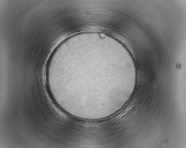 X0000098111083200805021127