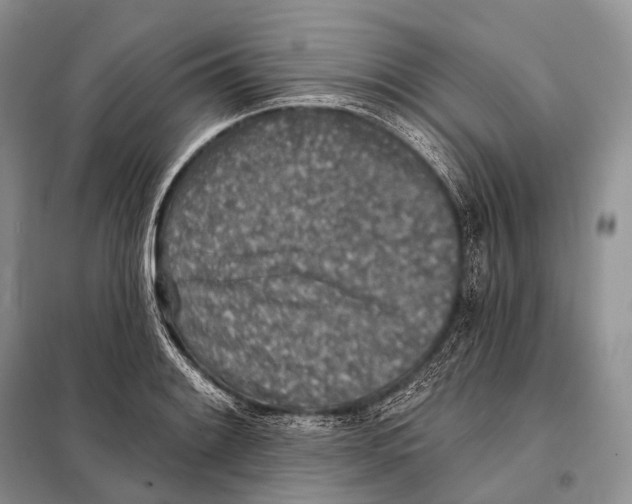 X0000098111084200805021127