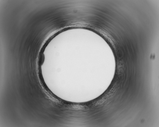 X0000098111085200805021127