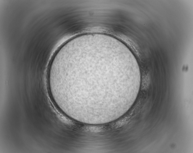 X0000098111086200805021127