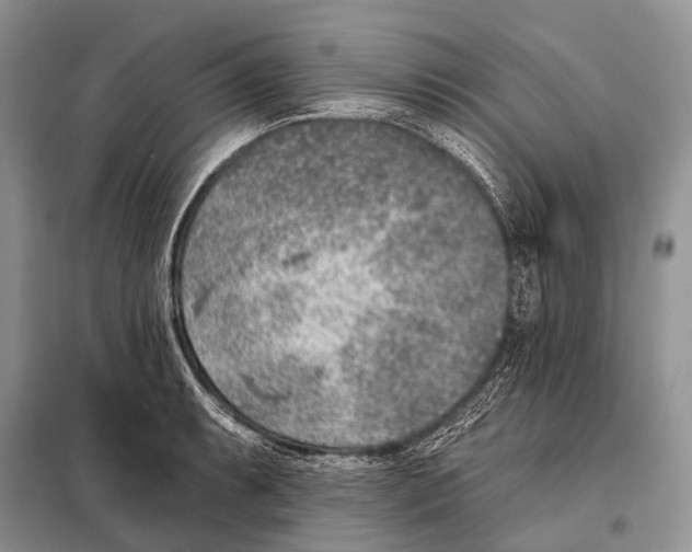 X0000098111087200805021127