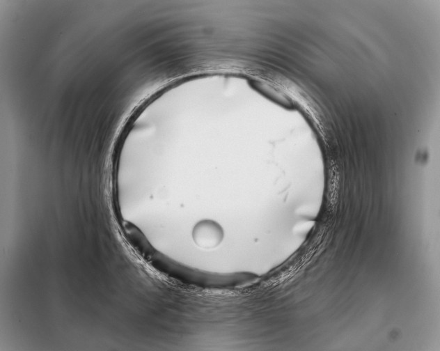 X0000098111088200805021127