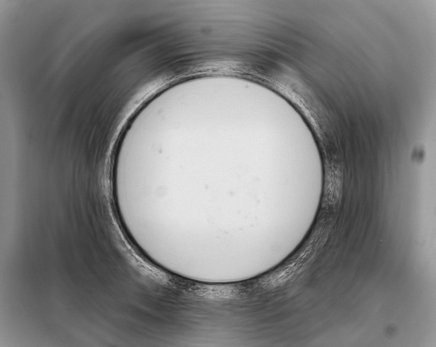 X0000098111090200805021127