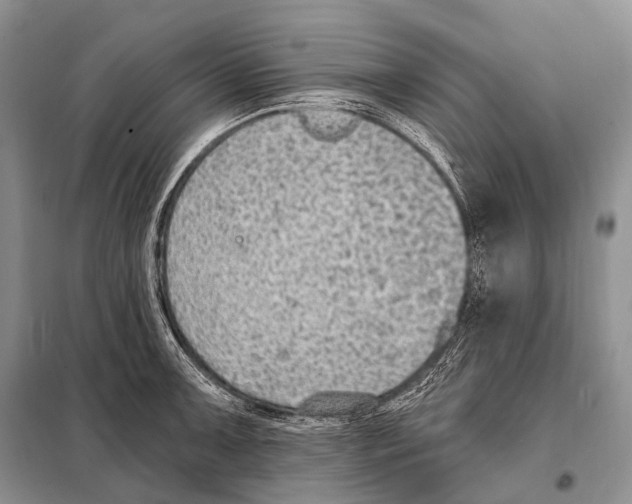 X0000098111091200805021127