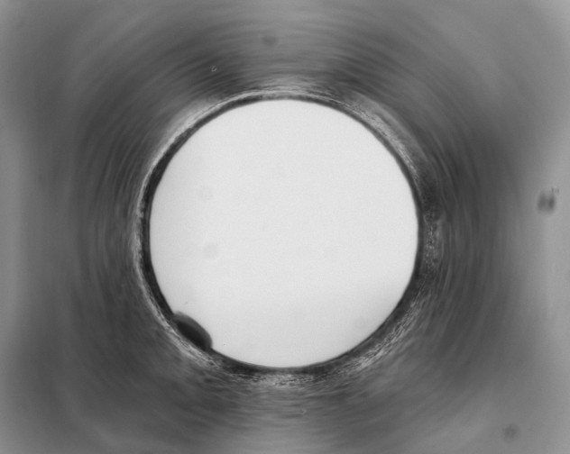 X0000098111093200805021127