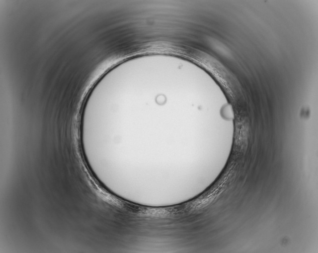 X0000098111094200805021127