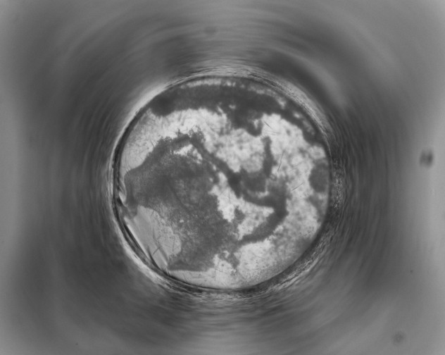 X0000098111095200805021127