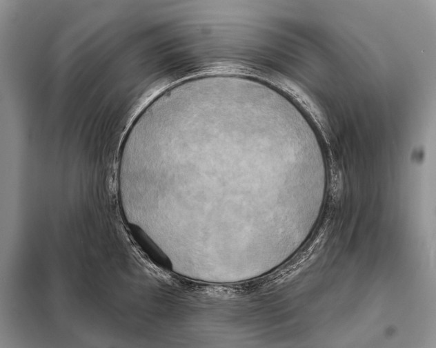 X0000098111097200805021127